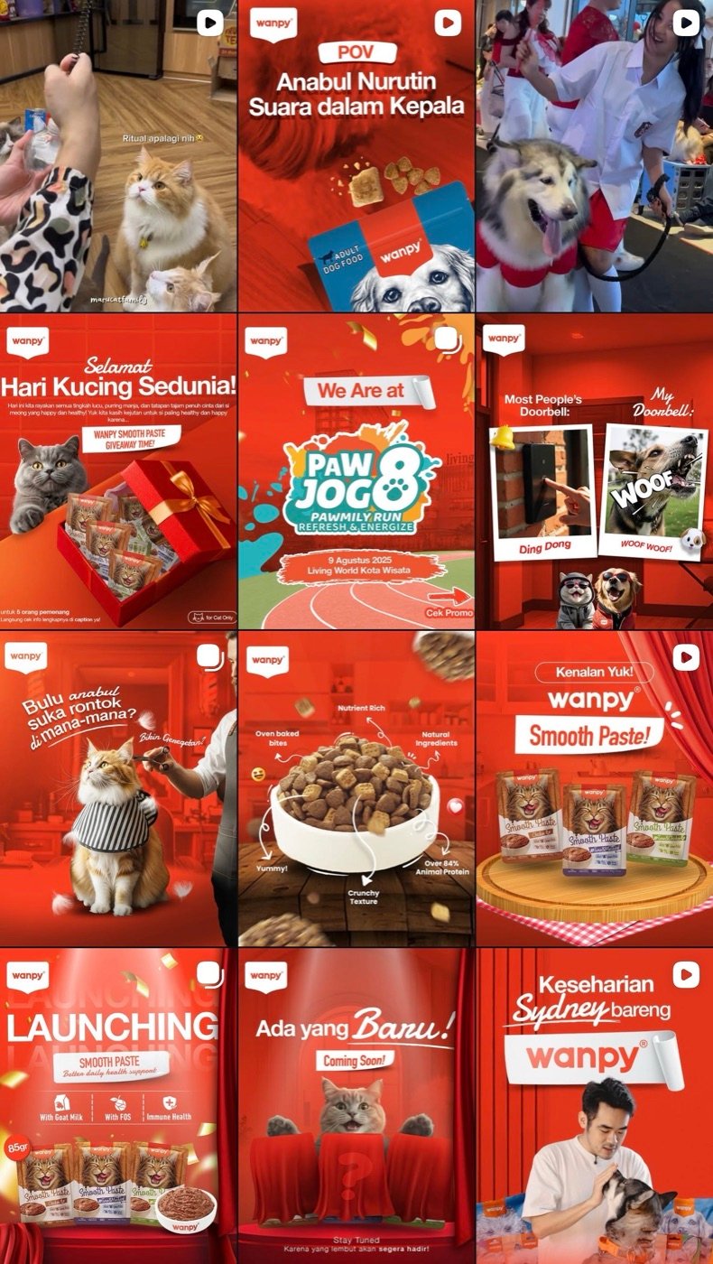 Social Media Management for Consumer & B2B Brands — Wanpy, Taste of the Wild & ARTA